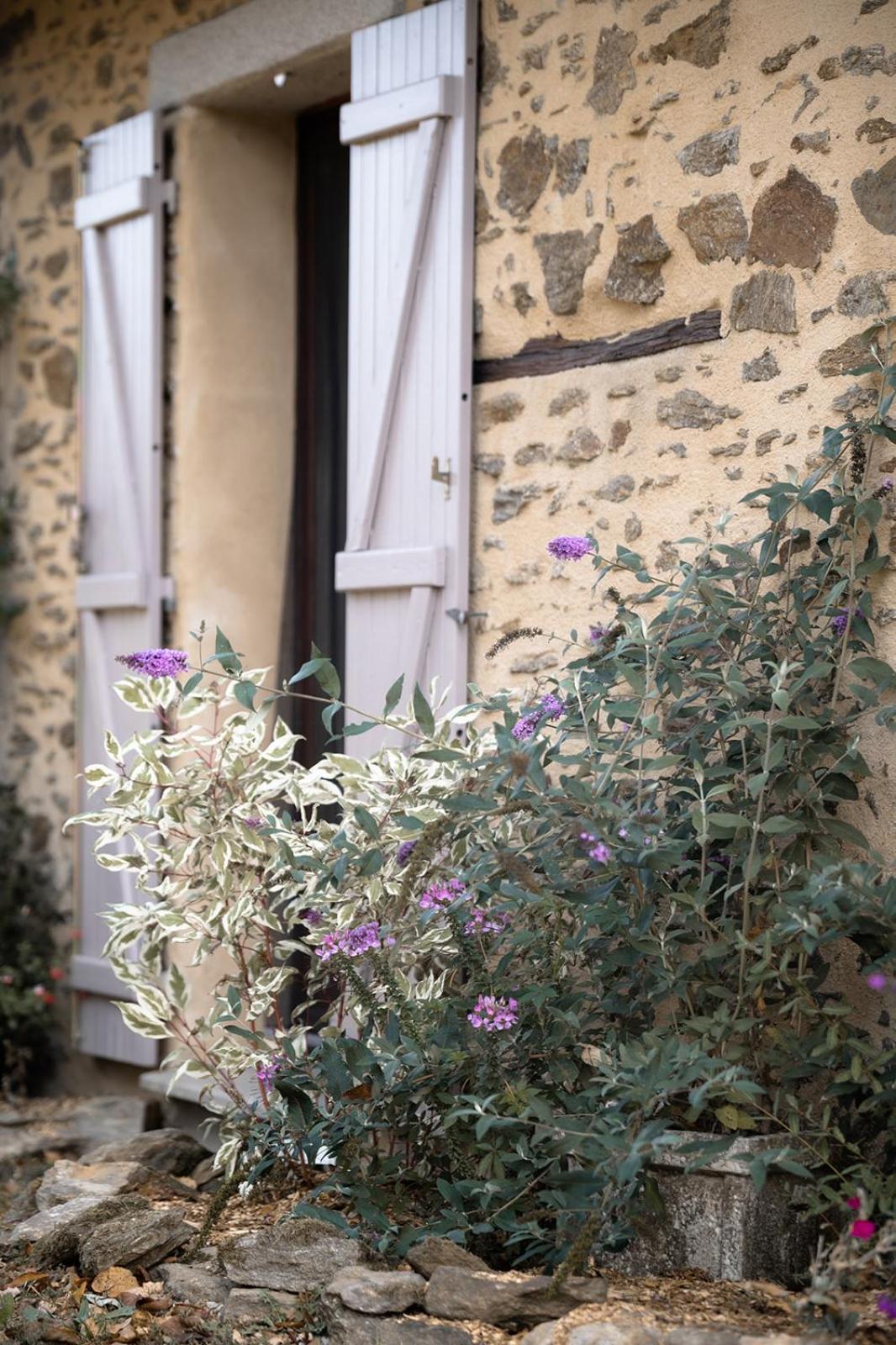 Domaine Abbey-Rose Hotel Champsac Luaran gambar